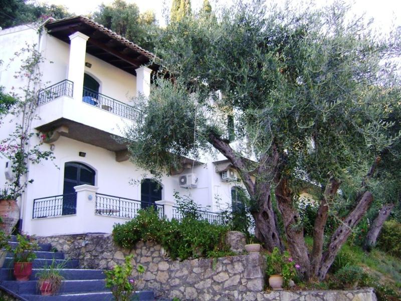 Appartement Natasa And Spiros à Paleokastrítsa Extérieur photo